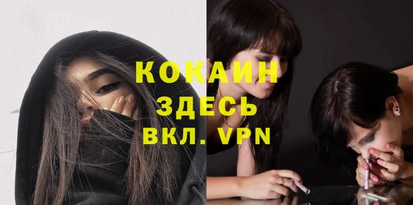 крисы Алзамай