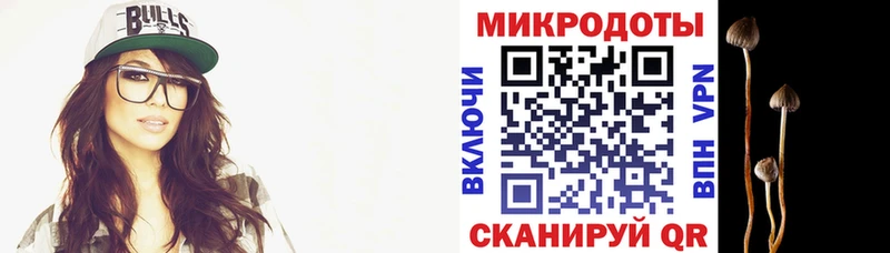 shop официальный сайт  Тула  Псилоцибиновые грибы мухоморы 